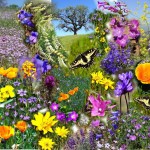 spring-flowers-collage